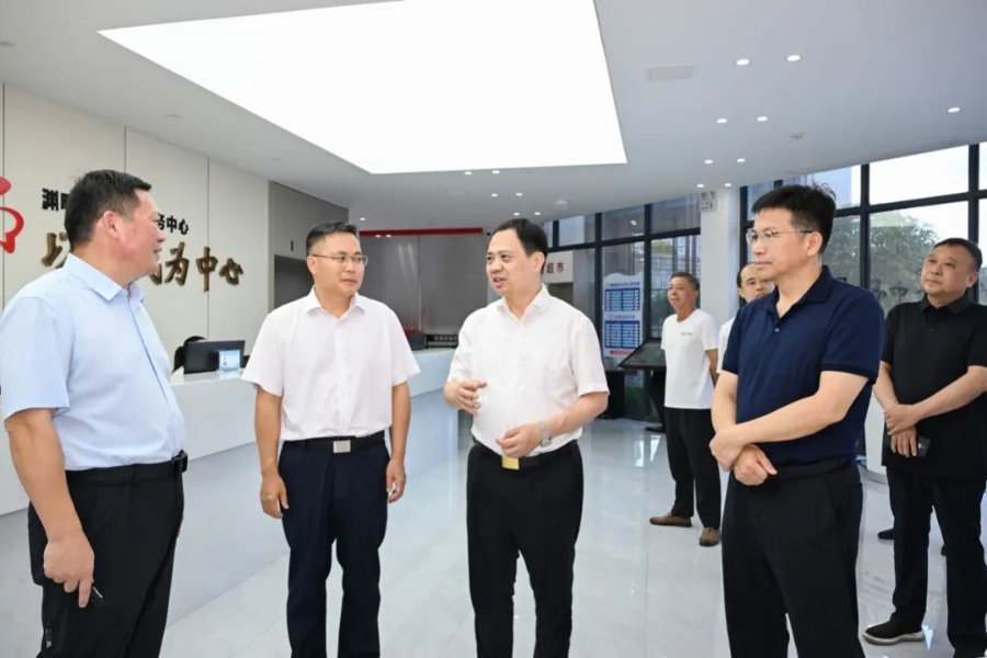 严允调研基层治理突出问题整治工作